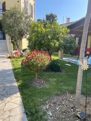 a toy bird on a pole in a yard at Les palmiers in Nice