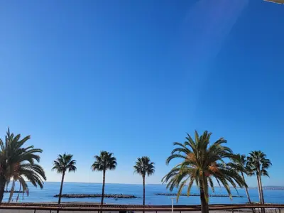 a row of palm trees on the beach at Plage Landsberg - Saint-Laurent-du-Var in Saint-Laurent-du-Var