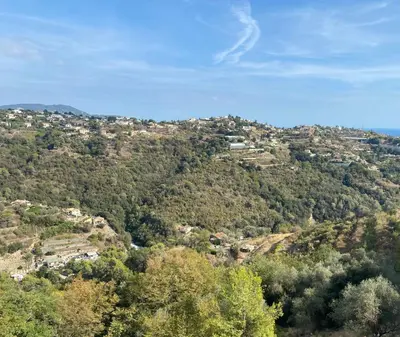 a view of a hill with trees and houses on it at Spacieuse Villa Niçoise au calme avec piscine in Nice