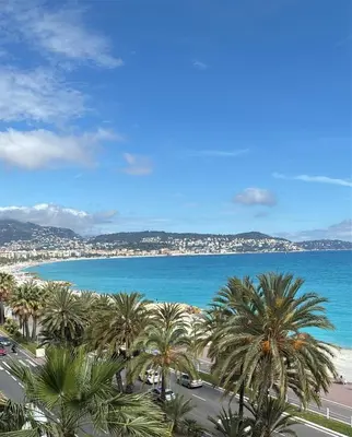 a view of a beach with palm trees and the ocean at LE BAHIA in Nice