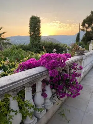 a bunch of purple flowers in white vases on a railing at Maison le Rêve in Falicon