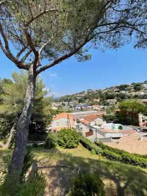 a tree on a hill with a view of a city at Studio en bas de villa avec piscine proche bord de mer in Cagnes-sur-Mer