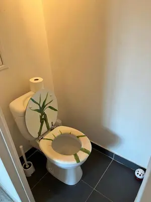 a bathroom with a toilet with a plant on the seat at 2 pièces avec terrasse en résidence privée in Nice