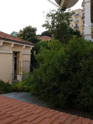 a large green bush next to a building at studio pour 3 personnes au calme dans villa in Nice