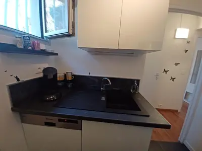 a kitchen with a sink and a counter with bats on the wall at L'Eau-Dyssée, clim, parking privé, jardin in Saint-Laurent-du-Var
