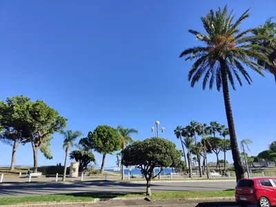 a red car parked in a park with a palm tree at LE 323 PROM - BEACHFRONT - PARKING - NEAR TRAM &SUPERMARKET - AC - washing machine in Nice