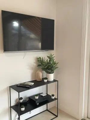 a black table with a potted plant on a wall at PALAIS ROYAL - Appartement tout confort in Nice