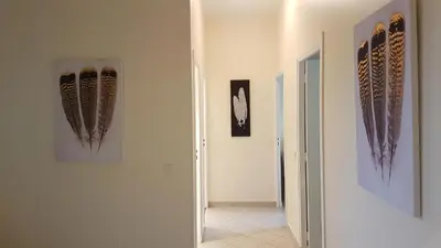 a hallway with some feathers hanging on a wall at Aston - Appartement Centre Ville Massena in Nice
