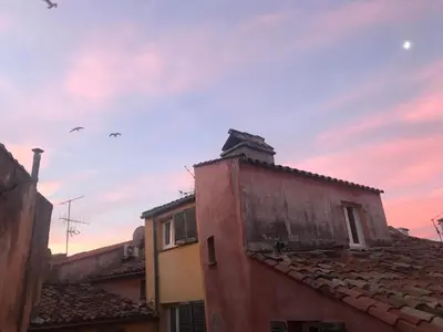 a group of birds flying over a building at Spacious and bright flat close to the beach : heart of old Nice in Nice