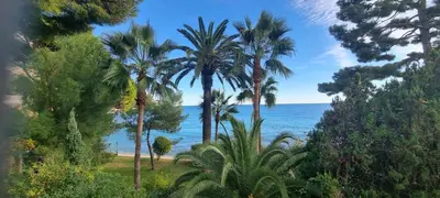 a view of a beach with palm trees and the ocean at Appartement de luxe Eze village vue mer avec piscine in Èze