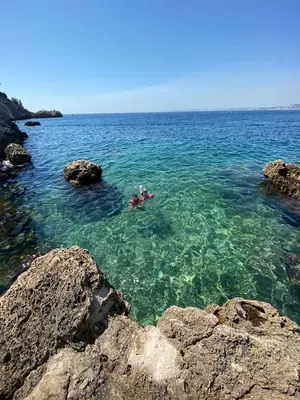 a group of people swimming in the ocean at Rentomatique Studio Jean Médecin in Nice