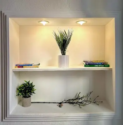 a shelf with two potted plants and books at Romantique - NeaSpace Vieux Nice in Nice