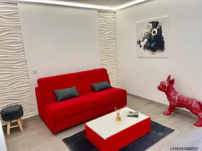 a living room with a red couch and a dog at Magnifique appartement les pieds dans l’eau à Nice in Saint-Laurent-du-Var