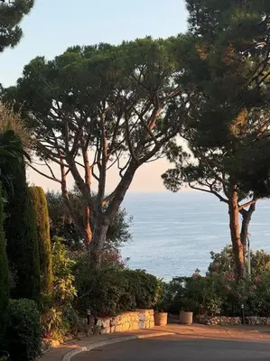 a road with trees and the ocean in the background at Balcon sur la Méditerranée in Nice