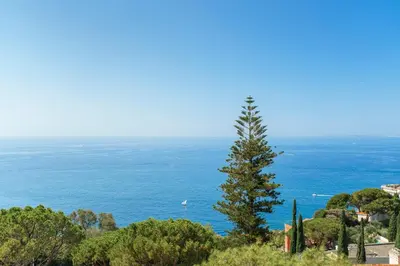 a tree on top of a hill near the ocean at Balcon sur la Méditerranée in Nice