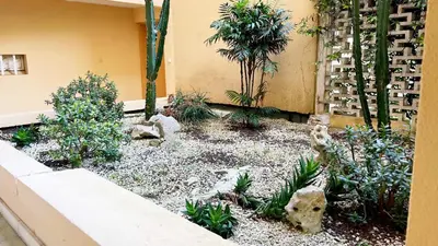 a garden with trees and plants in a building at Eden Beach in Cagnes-sur-Mer