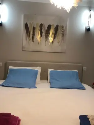 a bedroom with a bed with blue pillows and feathers on the wall at Appart Nice Marguerite in Nice