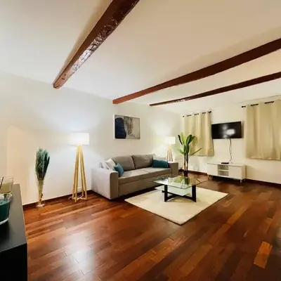 Vieux-Nice : 2 pièces type loft