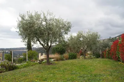 a green yard with trees and flowers on a hill at 3 pièces dans le ciel in Gattières