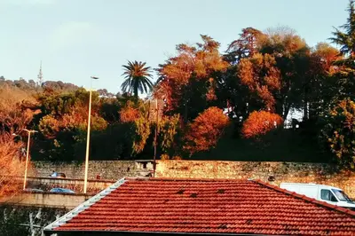 a red roof of a building with trees in the background at Studio avec balcon à 7 min du port et de Garibaldi in Nice