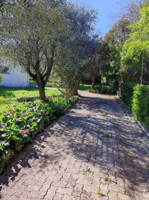 a brick path with trees and flowers in a park at Villa Olivaie St Ange in La Gaude