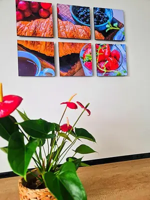 a plant in a pot next to three paintings on a wall at NissaLaBella in Nice