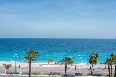 a beach with a group of palm trees and the ocean at Happyfew Palazzo del sol in Nice