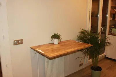 a kitchen with a wooden counter with a potted plant at L36 Sea view terrace 10min walking to sea/Parking & AC in Nice